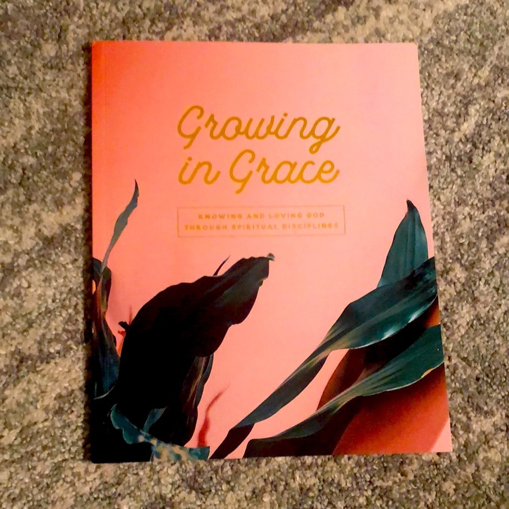 The Daily Grace Co. spiritual disciplines bible study